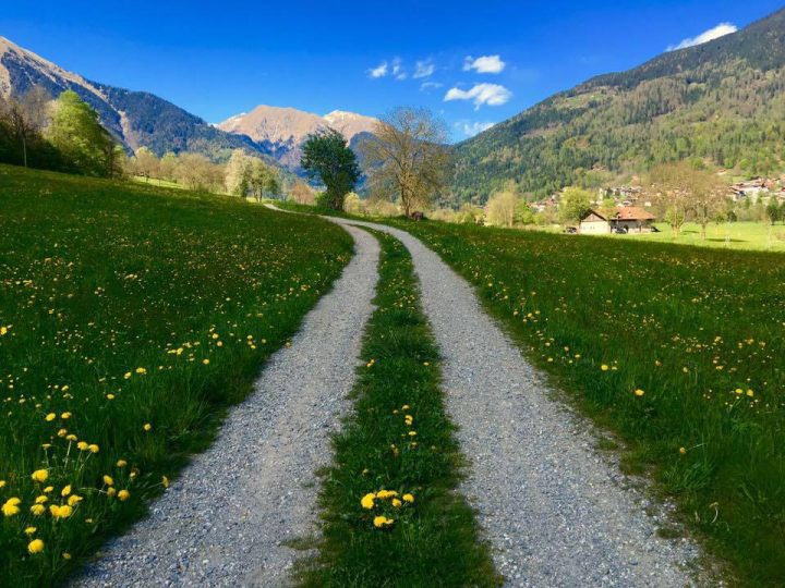 Strada delle Malghe Caderzone