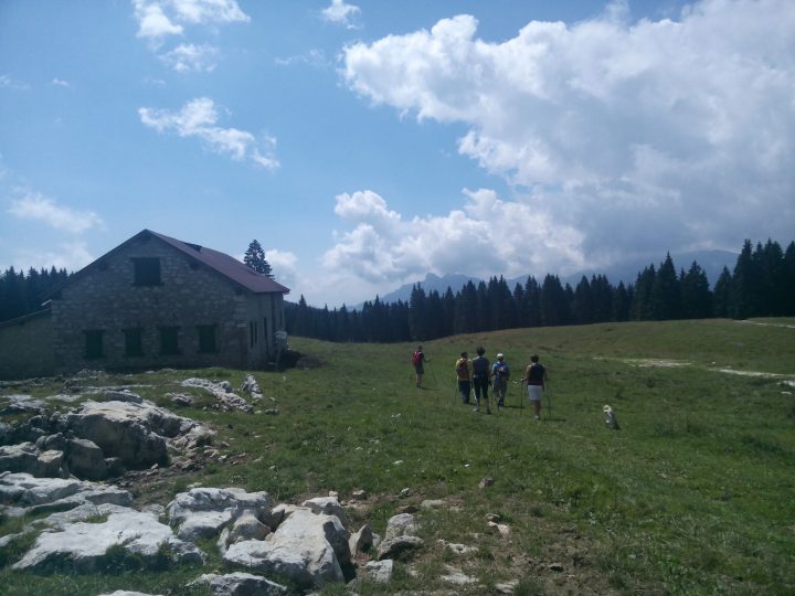 Alpe cimbra Activity