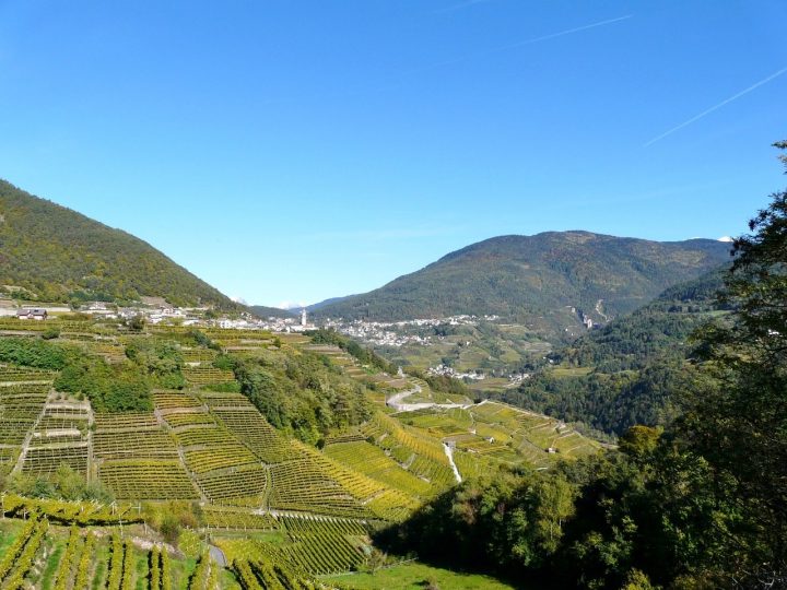 valle-cembra-vigneti-terrazzati