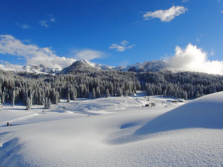 inverno_panorama_