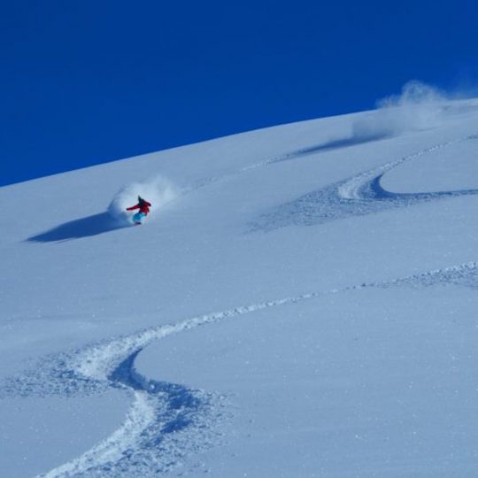 freeride-tonale-2