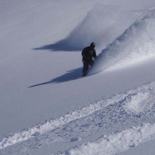 freeride-tonale