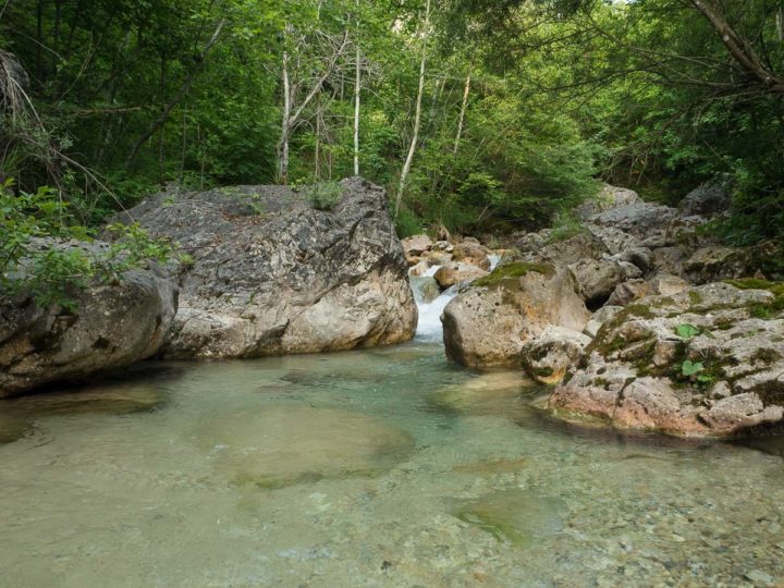 pesca a mosca sul rio Ala, Vallagarina, Trentino