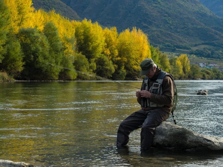 pesca a mosca nel fiume Adige presso Serravalle, Vallagarina, Trentino