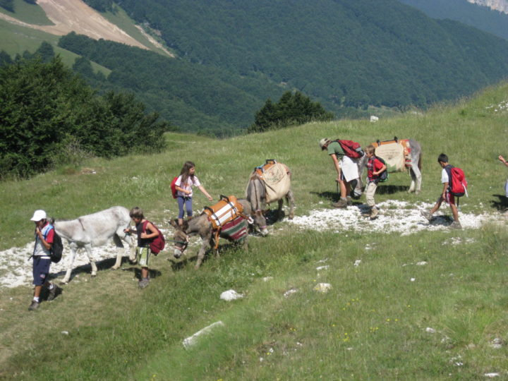 19.CI FERMIAMO