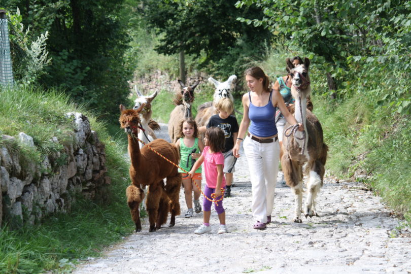 lama trekking_1