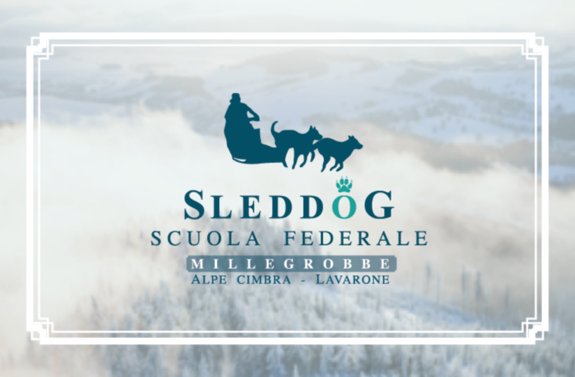 logo scuola sleddog