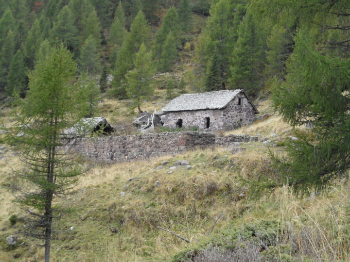 malga val cioto alta 2