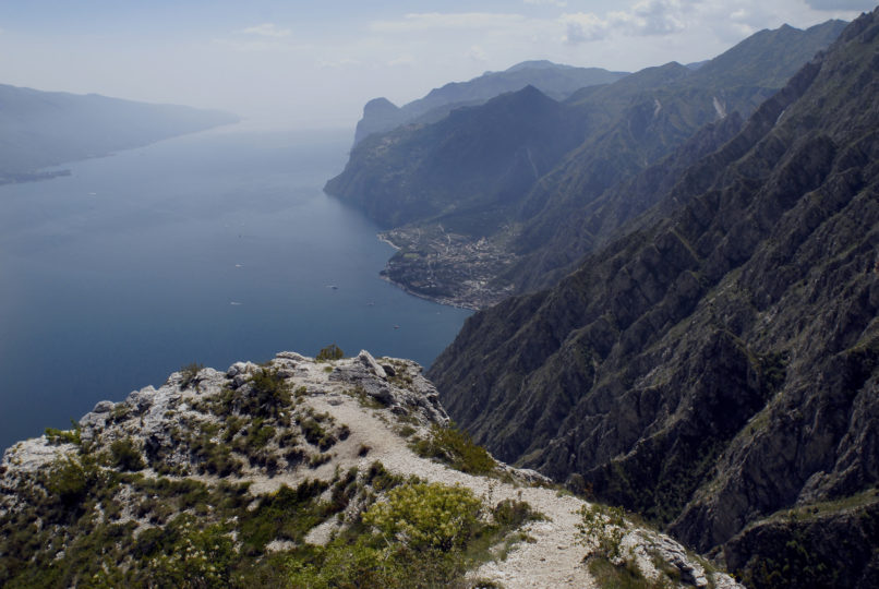 punta larici 2000px